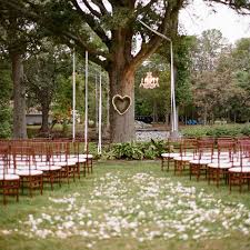 our wedding tree